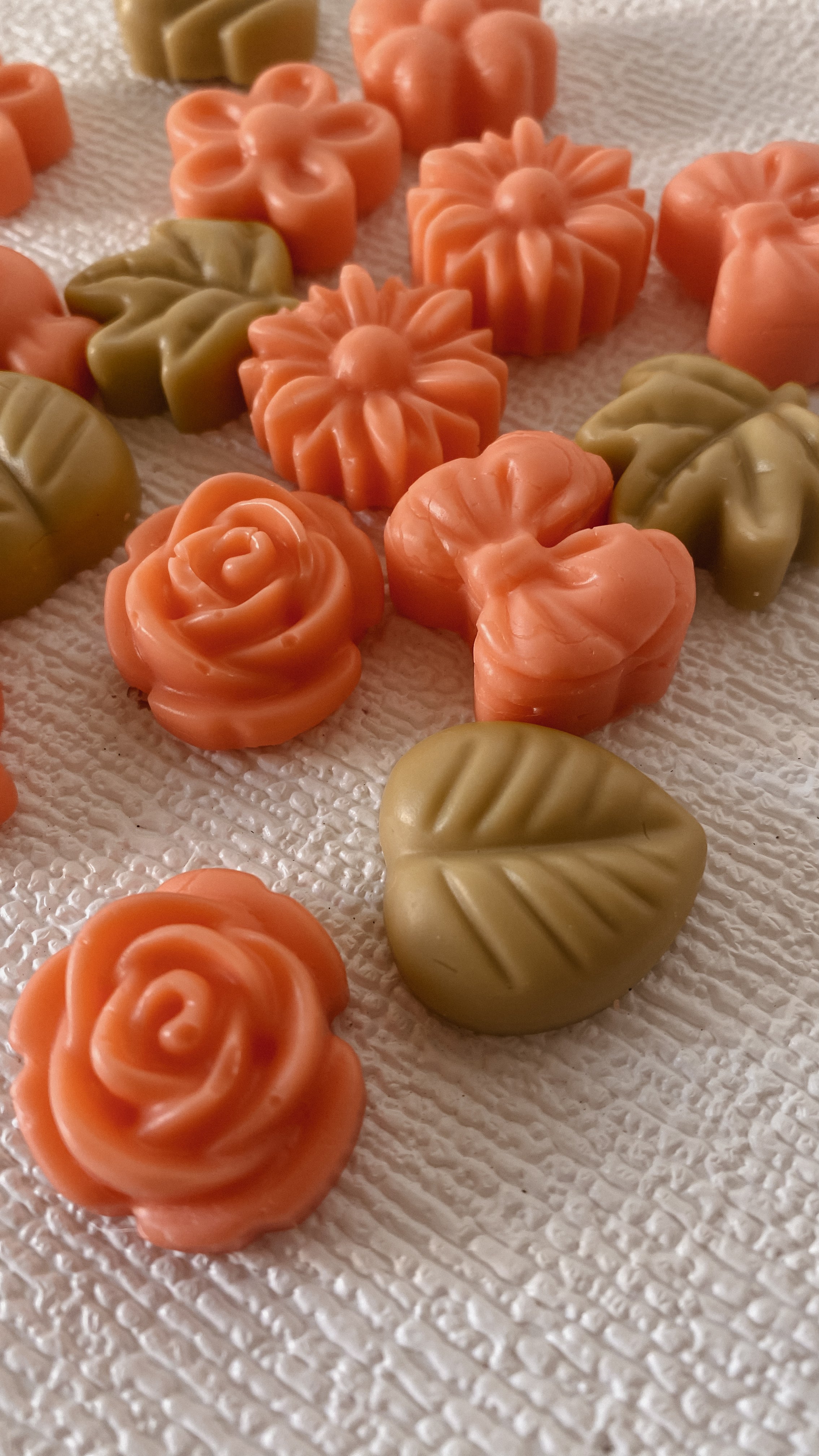 Wax Melts "Casa Desperta"