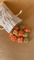 Wax Melts "Casa Desperta"